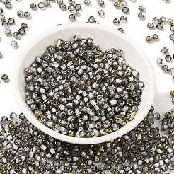 Glass Seed Beads&nbsp;X1-SEED-H002-B-D218