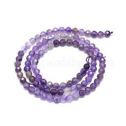 Natural Amethyst Beads Strands&nbsp;G-P457-A03-15