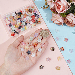 150Pcs 15 Colors Handmade Transparent Lampwork Beads&nbsp;GLAA-PH0004-03