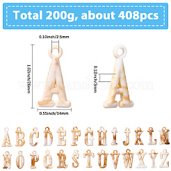 408Pcs Acrylic Pendants&nbsp;MACR-SC0001-93
