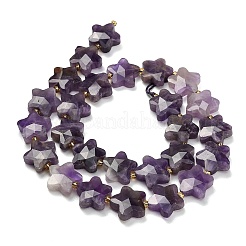 Natural Amethyst Beads Strands&nbsp;G-L657-A08-01