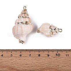 Electroplated Golden Brass Trim Natural Spiral Shell Pendants&nbsp;SSHEL-N042-37