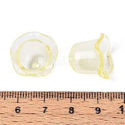 Transparent Acrylic Bead Caps&nbsp;TACR-T028-58E