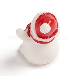 Resin Display Decorations&nbsp;LS-RESI-WH0008-28A