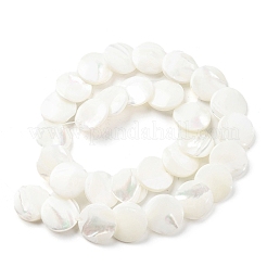 Natural Trochid Shell/Trochus Shell Beads Strands&nbsp;SSHEL-R145-03