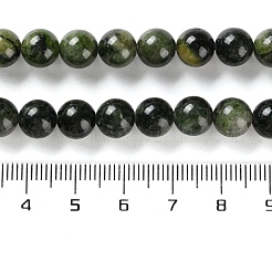 Natural Green Diopside Beads Strands&nbsp;G-NH0031-01B