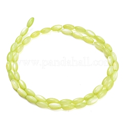 Natural Freshwater Shell Beads Strands&nbsp;SHEL-C010-01D