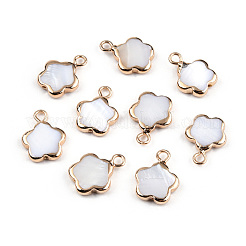 Electroplated Natural Freshwater Shell Charms&nbsp;SHEL-N032-218