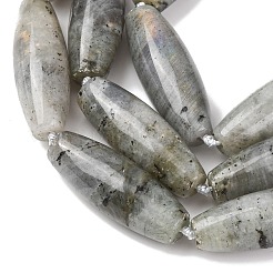 Natural Labradorite Beads Strands&nbsp;G-L654-G12-01