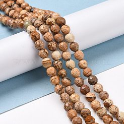 Natural Picture Jasper Beads Strands&nbsp;G-E571-28A