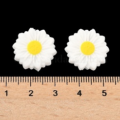 Silicone Focal Beads&nbsp;SIL-G012-01A