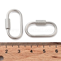 Non-Tarnish 304 Stainless Steel Screw Carabiner Lock Charms&nbsp;STAS-K192-01P