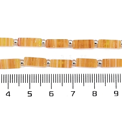Handmade Lampwork Beads Strands&nbsp;LAMP-Q037-01B-01