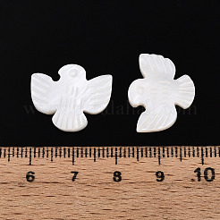 Natural Freshwater Shell Carved Beads&nbsp;SHEL-N036-12