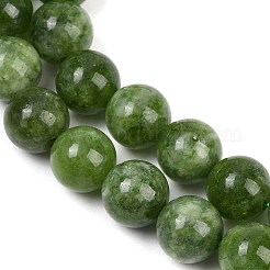Dyed Natural Malaysia Jade Beads Strands&nbsp;G-G021-02C-13