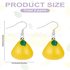 2Pairs Plastic Dangle Earrings&nbsp;EJEW-LP0001-29