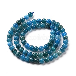 Natural Apatite Beads Strands&nbsp;G-J373-21-5.5mm-01