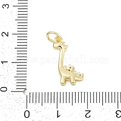 Brass Micro Pave Clear Cubic Zirconia Pendants&nbsp;KK-G522-13G