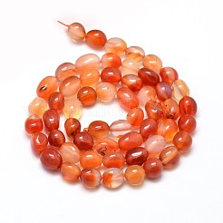 Dyed Natural Carnelian Gemstone Smooth Nuggets Bead Strands&nbsp;G-J335-03