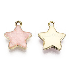 Alloy Enamel Pendants&nbsp;ENAM-T011-206