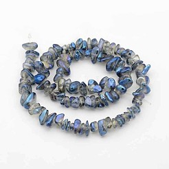 Natural Electroplated Quartz Crystal Beads Strands&nbsp;G-F207-02