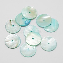 Dyed Natural Shell Beads&nbsp;SHEL-P004-06