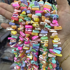 1 Strand Dyed Natural Trochus Shell Beads Strands&nbsp;SSHEL-PA0001-01A
