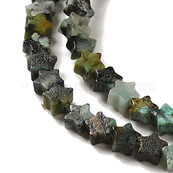 Natural African Turquoise(Jasper) Beads Strands&nbsp;G-G085-B06-01