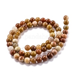 Natural Petrified Wood Beads Strands&nbsp;G-O199-06A