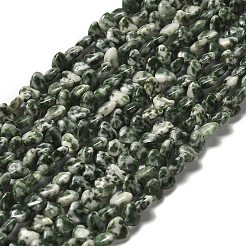 Natural Green Spot Jasper Beads Strands&nbsp;G-P575-C16-6mm