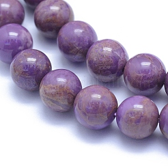 Natural Lepidolite/Purple Mica Stone Beads Strands&nbsp;G-L552H-09D