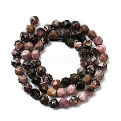 Natural Rhodonite Beads Strands&nbsp;G-Z119-A19-01