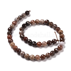 Natural Petrified Wood Beads Strands&nbsp;G-E571-27B