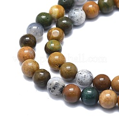 Natural Ocean Jasper Beads Strands&nbsp;G-F715-112A