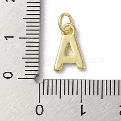 Rack Plating Brass Charms&nbsp;KK-P245-06G-A