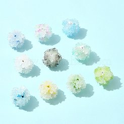 10Pcs 10 Colors Resin Beads&nbsp;RESI-FS0002-24A