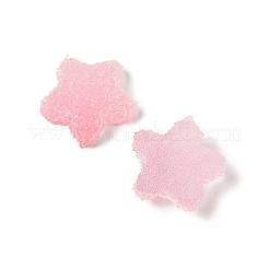 Imitation Candy Food Style Resin Cabochons&nbsp;X1-RESI-R461-02C