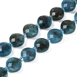 Natural Apatite Beads Strands&nbsp;G-B094-A27-01