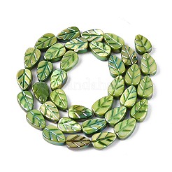 Natural Freshwater Shell Carved Beads Strands&nbsp;SHEL-N038-25C