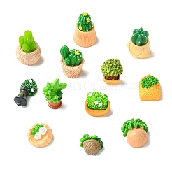 48Pcs 12 Styles Resin Bonsai Display Ornaments&nbsp;DJEW-CJZ0001-001