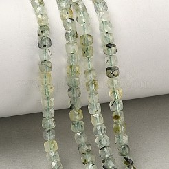 Natural Prehnite Beads Strands&nbsp;G-D0003-B03