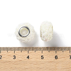 AB Color Resin Rose Flower European Beads&nbsp;RESI-M001-05J