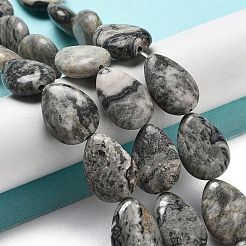 Natural Map Stone/Polychrome Jasper/Picasso Stone/Picasso Jasper Beads Strands&nbsp;G-P528-L11-01