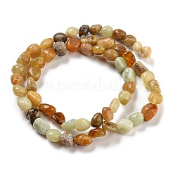 Natural Jade Bead Strands&nbsp;X-G-P070-02