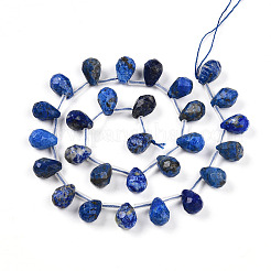 Natural Lapis Lazuli Beads Strands&nbsp;G-R435-15D-01