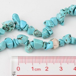 Dyed Natural White Jade Chip Beads&nbsp;X-G-R192-06