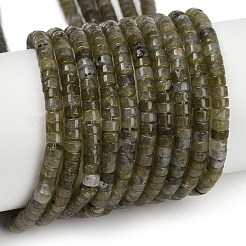 Natural Labradorit Beads Strands&nbsp;G-H230-78