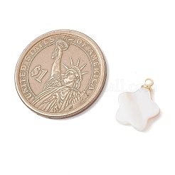 5Pcs 5 Styles Natural Shell Pendants&nbsp;PALLOY-JF04892