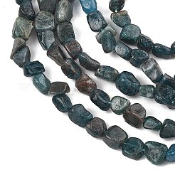 Natural Apatite Beads Strands&nbsp;G-F821-F01-01