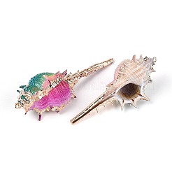 Spray Painted Electroplate Natural Conch Shell Big Pendants&nbsp;SSHEL-T017-39